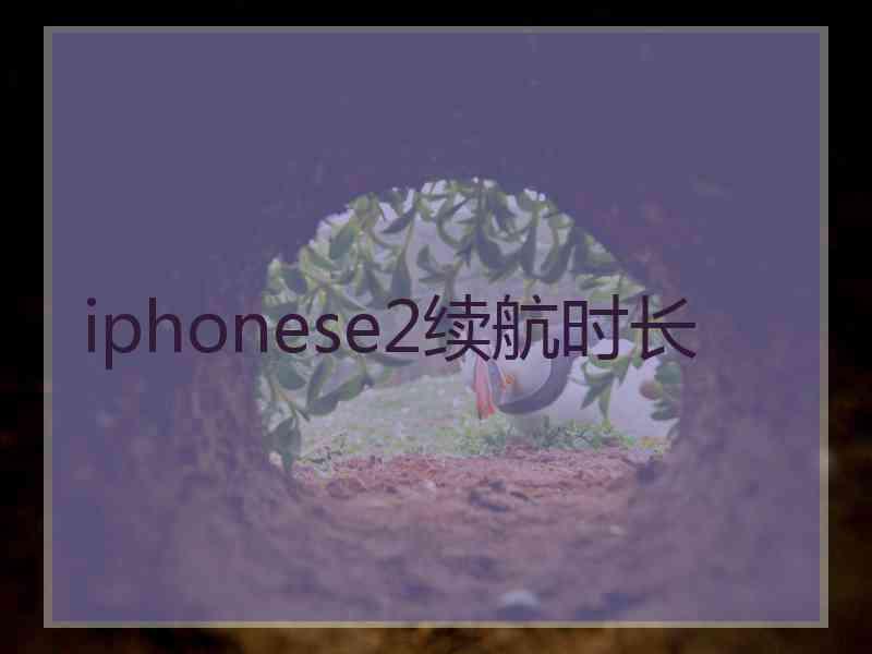 iphonese2续航时长