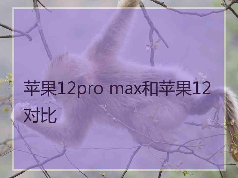 苹果12pro max和苹果12对比