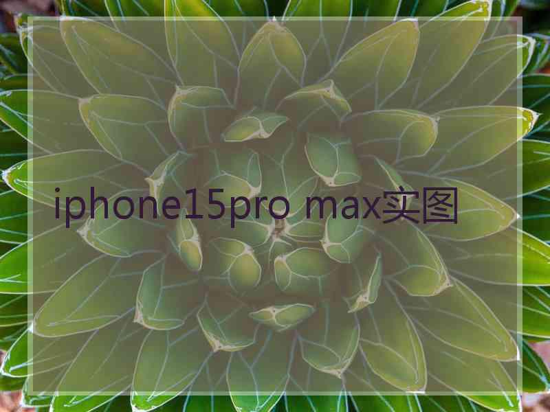 iphone15pro max实图