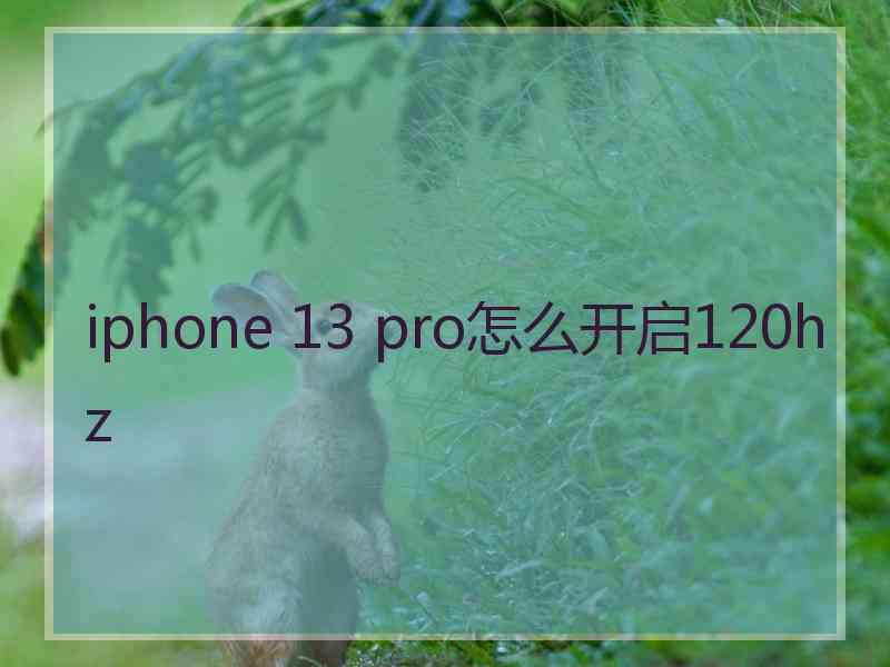 iphone 13 pro怎么开启120hz