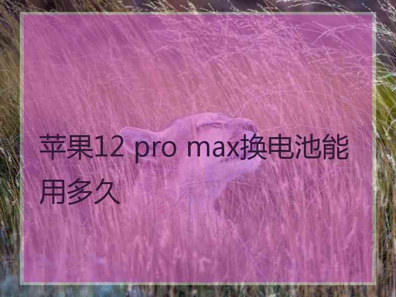 苹果12 pro max换电池能用多久