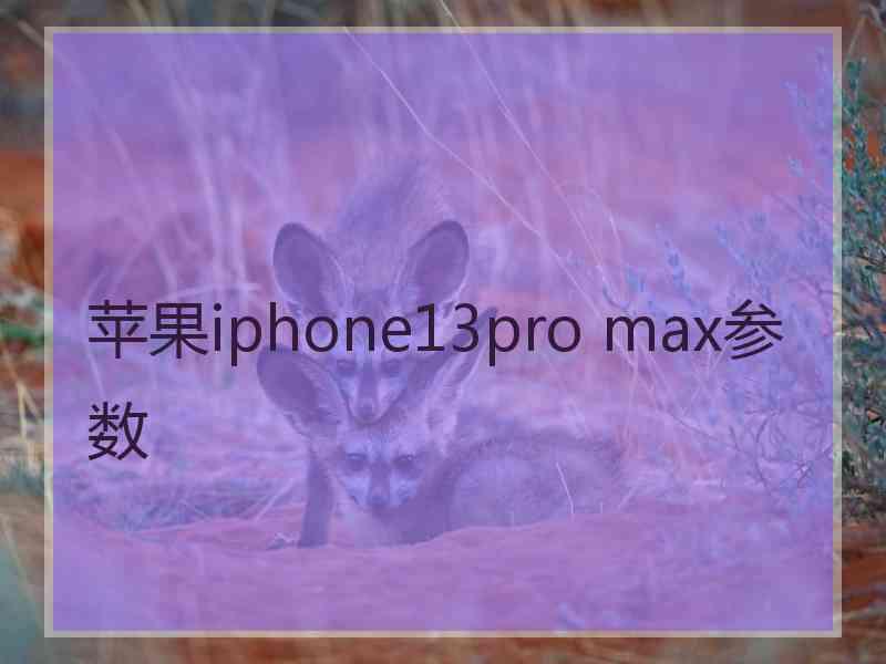 苹果iphone13pro max参数