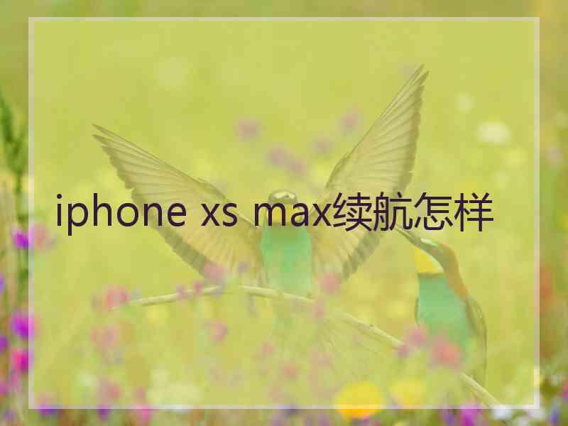 iphone xs max续航怎样