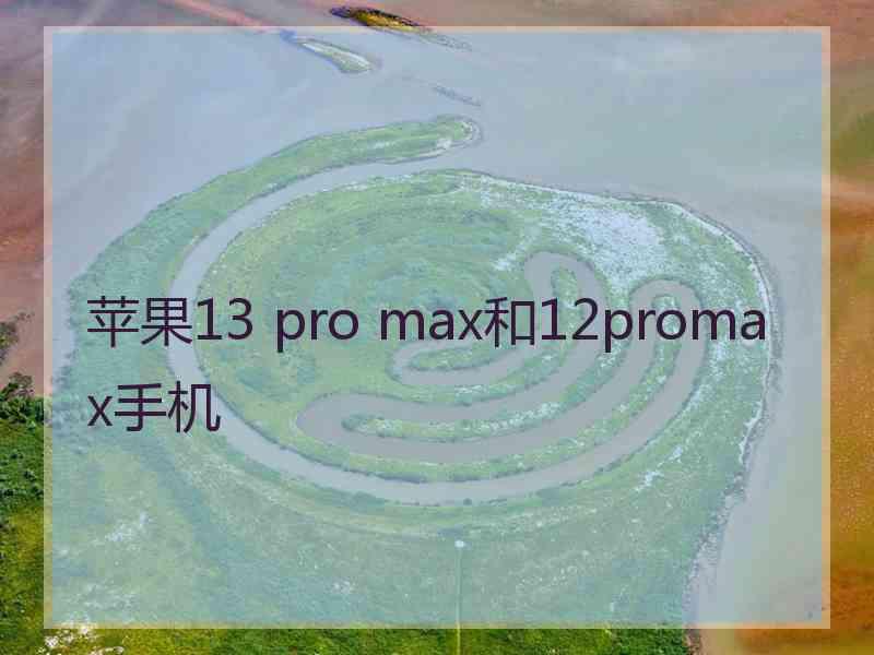 苹果13 pro max和12promax手机