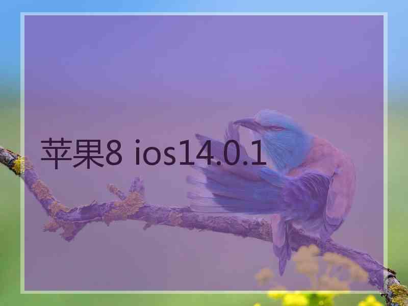 苹果8 ios14.0.1