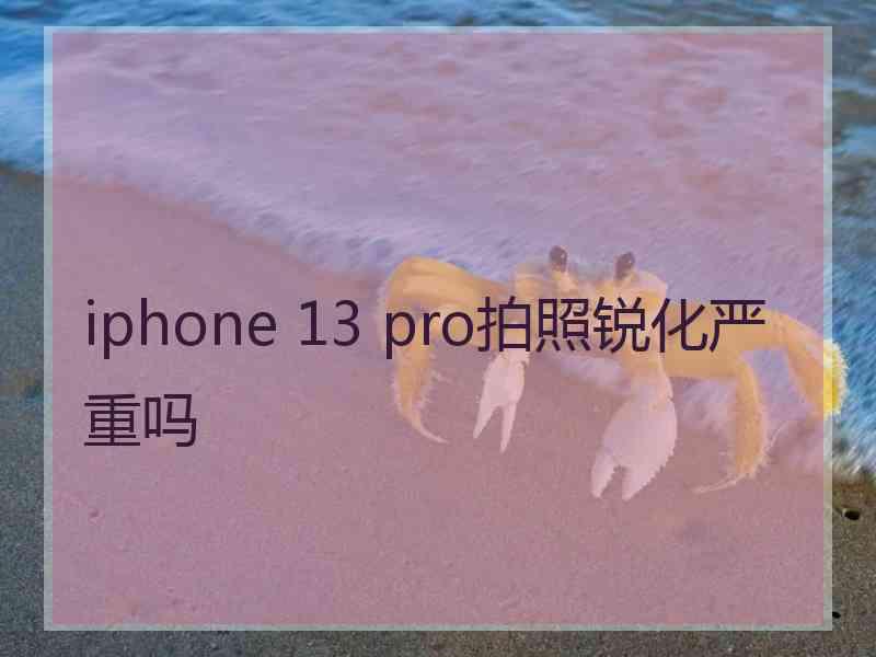 iphone 13 pro拍照锐化严重吗