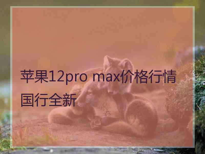 苹果12pro max价格行情国行全新