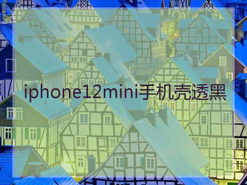 iphone12mini手机壳透黑