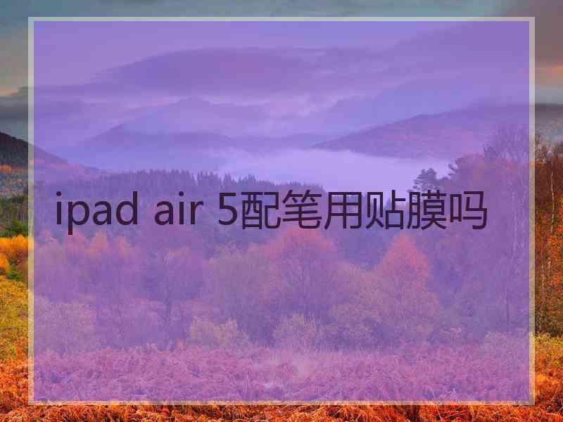 ipad air 5配笔用贴膜吗