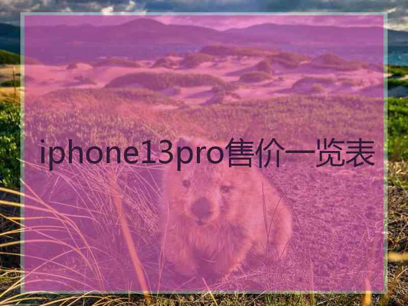 iphone13pro售价一览表