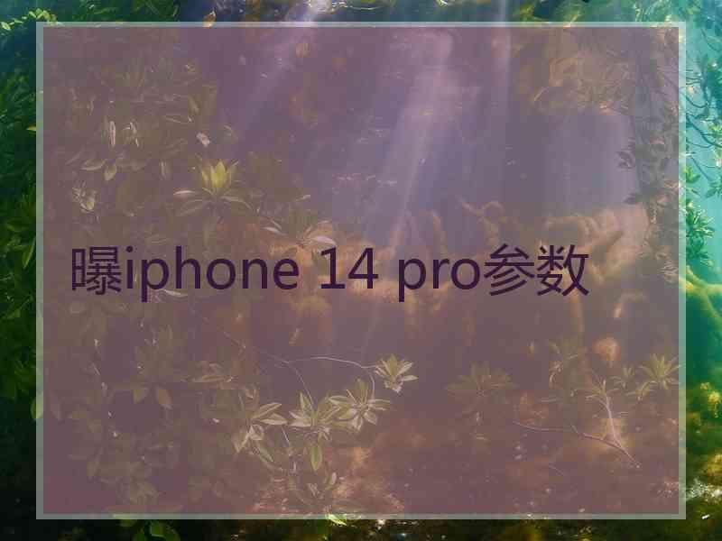 曝iphone 14 pro参数