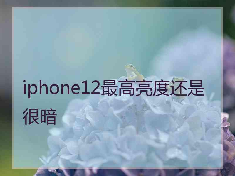 iphone12最高亮度还是很暗