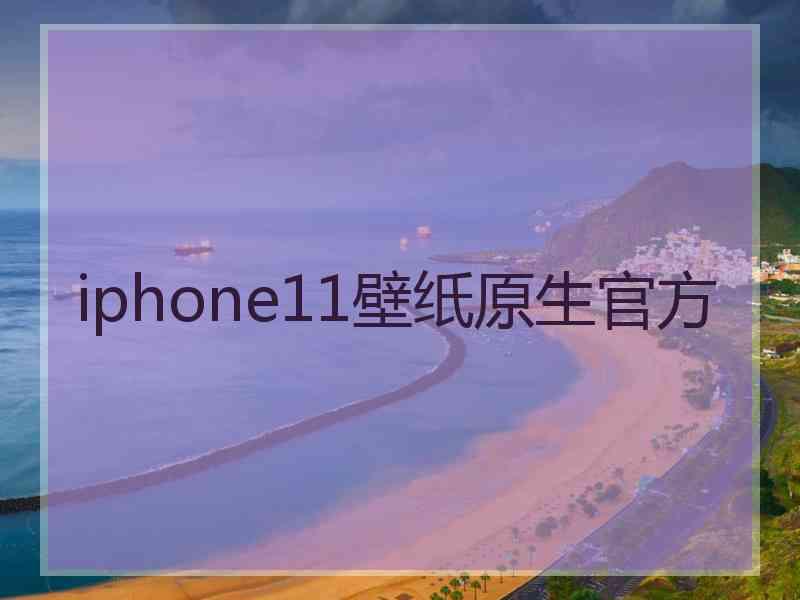 iphone11壁纸原生官方