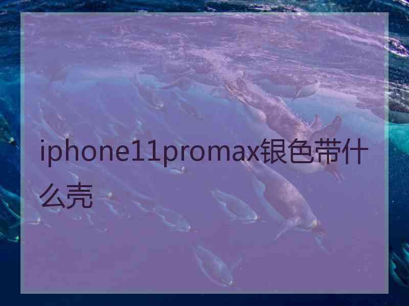 iphone11promax银色带什么壳