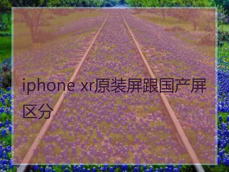 iphone xr原装屏跟国产屏区分