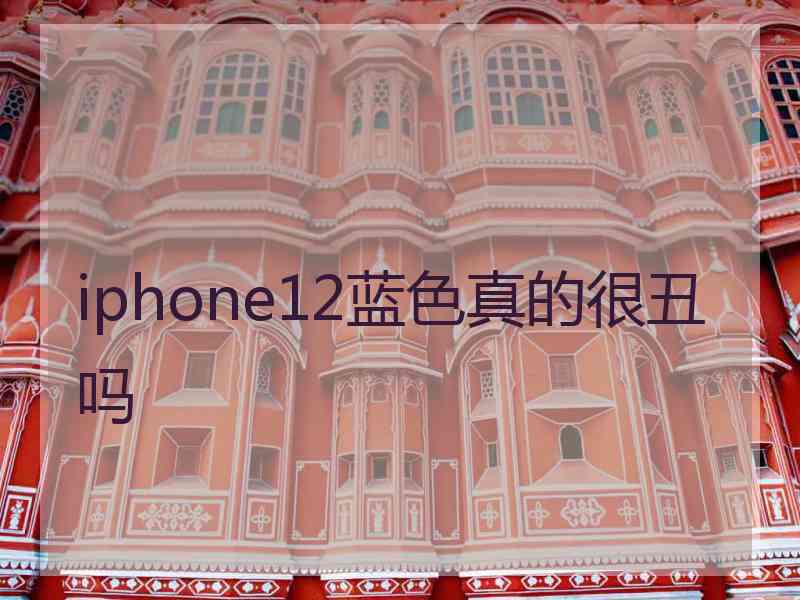 iphone12蓝色真的很丑吗