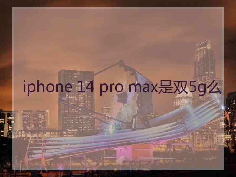 iphone 14 pro max是双5g么