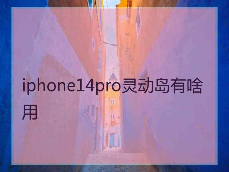 iphone14pro灵动岛有啥用