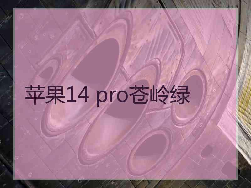 苹果14 pro苍岭绿