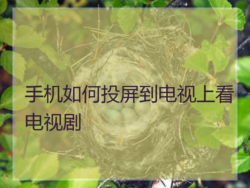 手机如何投屏到电视上看电视剧