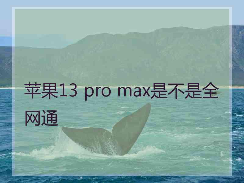 苹果13 pro max是不是全网通