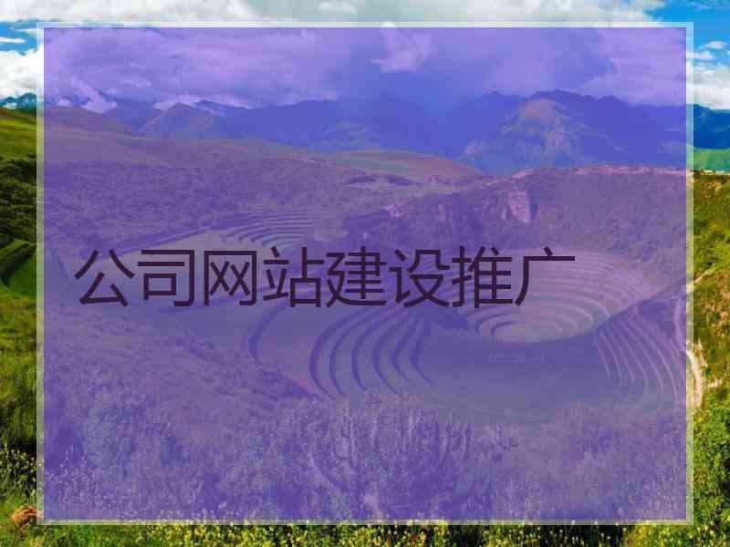 公司网站建设推广