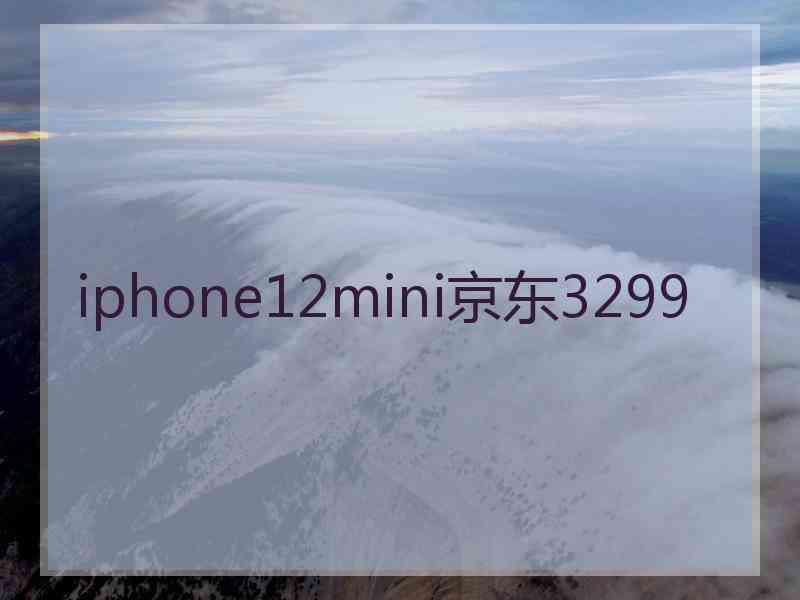 iphone12mini京东3299