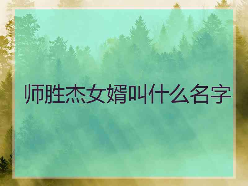 师胜杰女婿叫什么名字