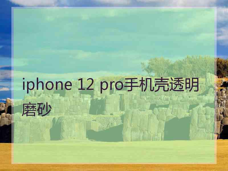 iphone 12 pro手机壳透明磨砂