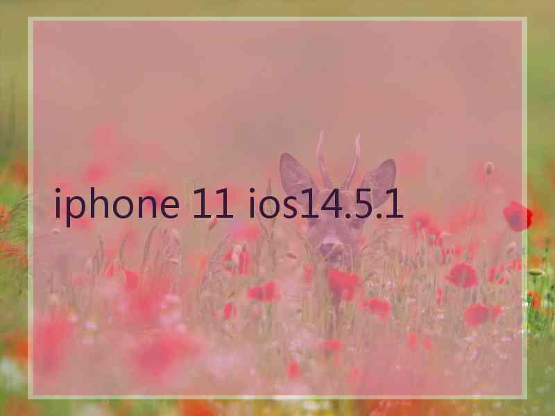 iphone 11 ios14.5.1