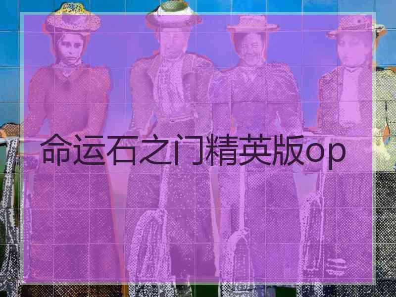 命运石之门精英版op