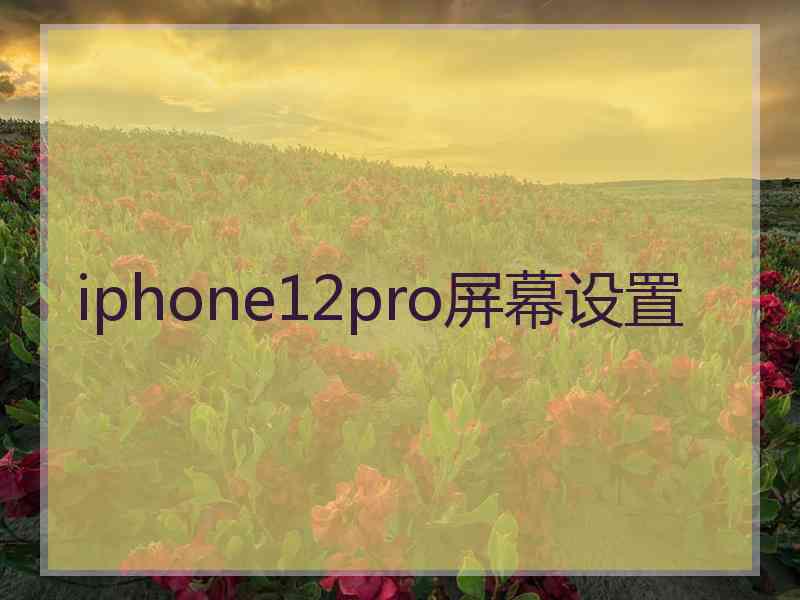 iphone12pro屏幕设置