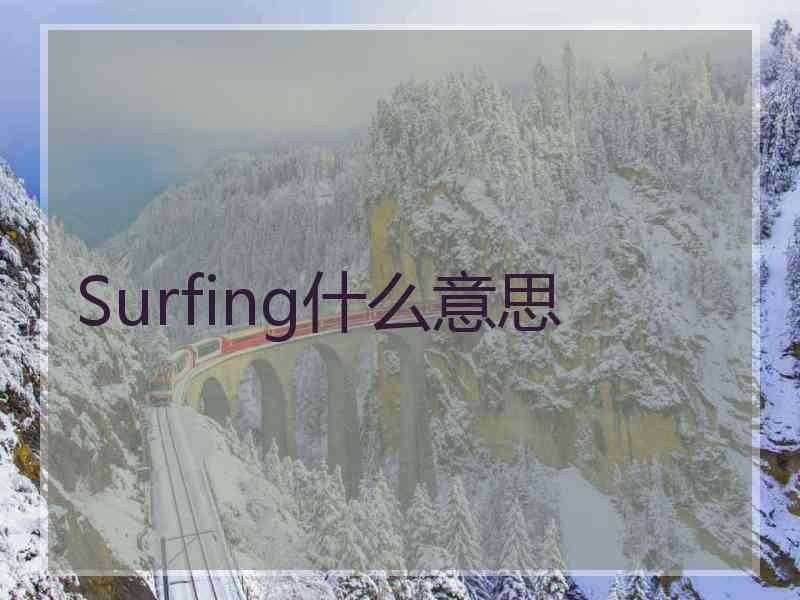 Surfing什么意思