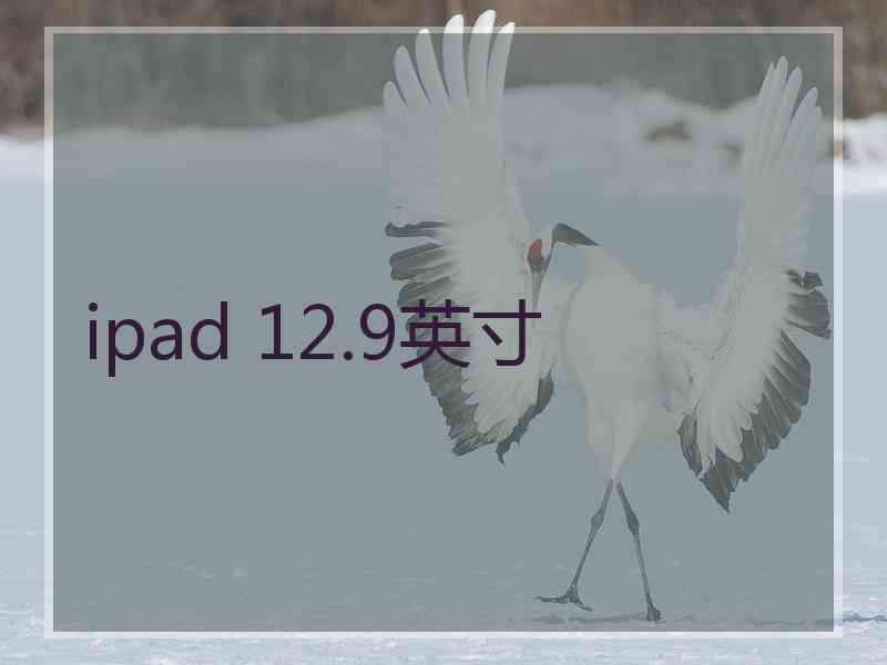 ipad 12.9英寸