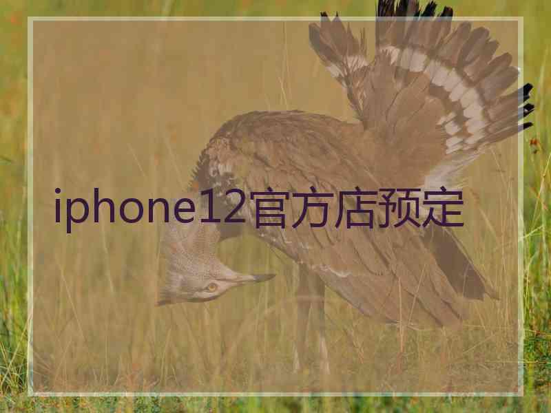 iphone12官方店预定