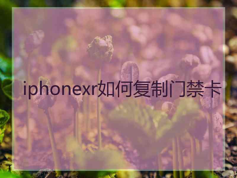 iphonexr如何复制门禁卡