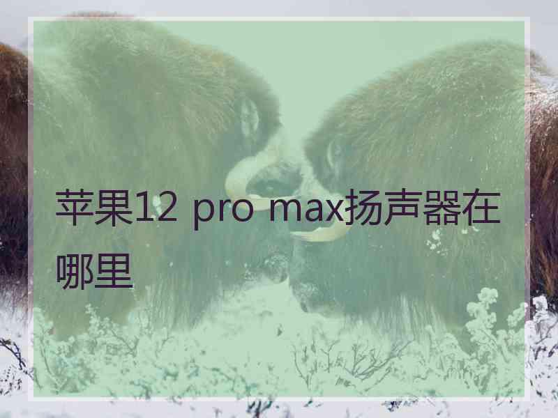 苹果12 pro max扬声器在哪里