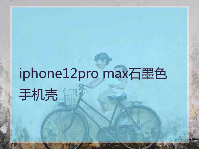 iphone12pro max石墨色手机壳