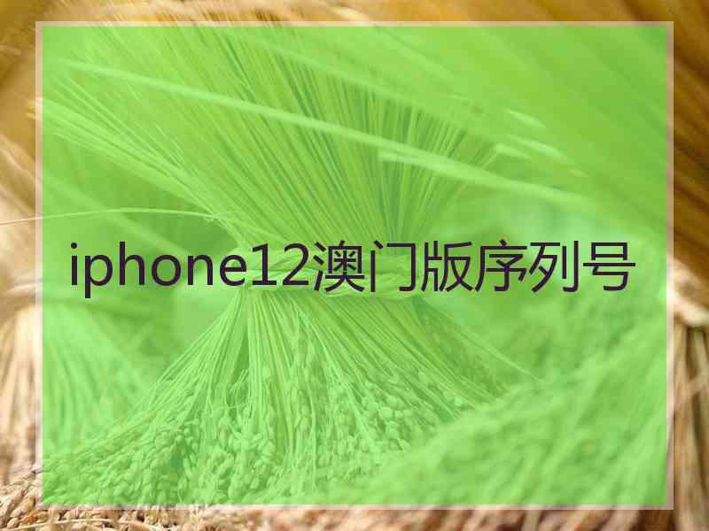 iphone12澳门版序列号