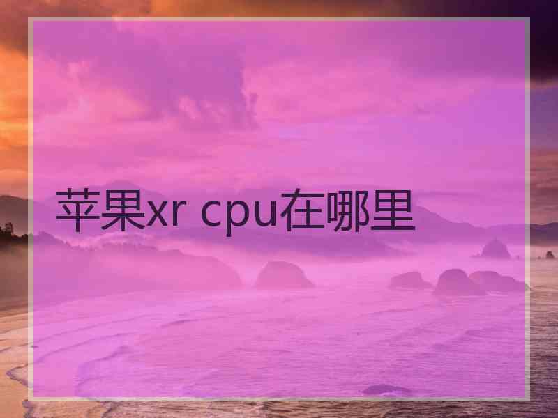 苹果xr cpu在哪里