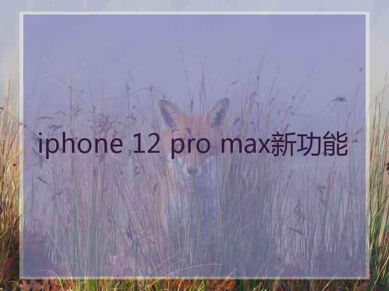 iphone 12 pro max新功能