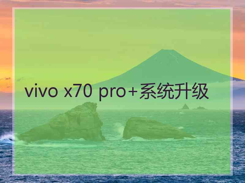 vivo x70 pro+系统升级