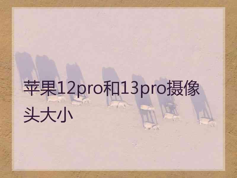 苹果12pro和13pro摄像头大小