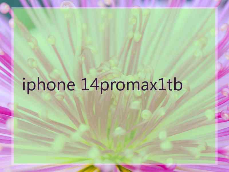 iphone 14promax1tb