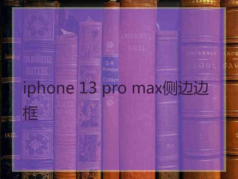 iphone 13 pro max侧边边框