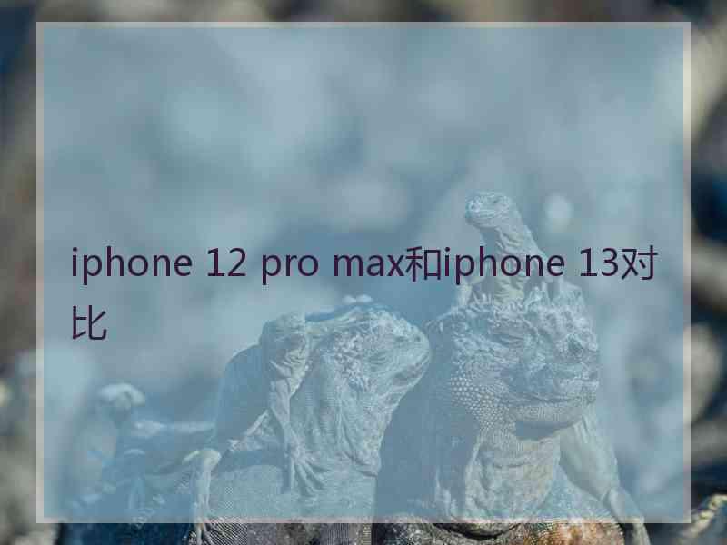 iphone 12 pro max和iphone 13对比