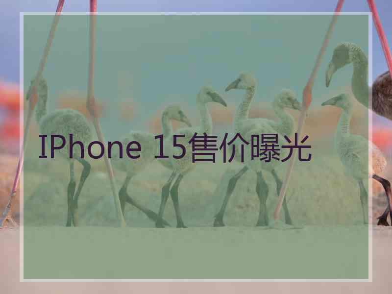 IPhone 15售价曝光