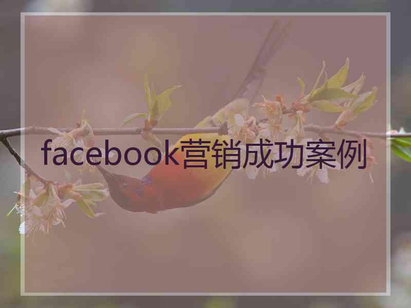 facebook营销成功案例