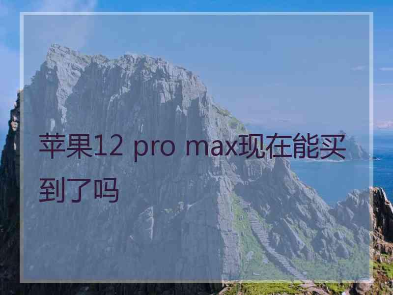 苹果12 pro max现在能买到了吗