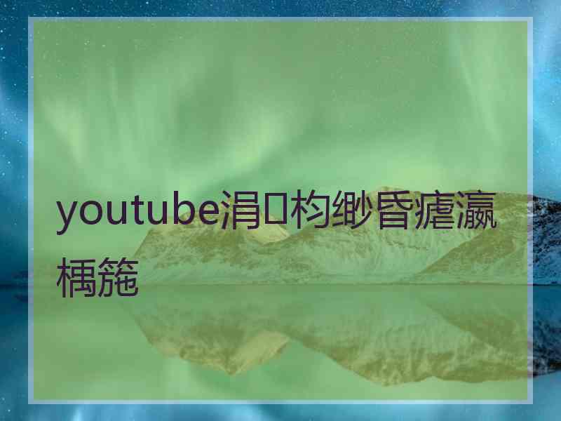 youtube涓枃缈昏瘧瀛楀箷